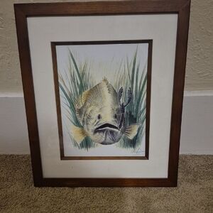 Framed Fish Illustration with Wooden Frame
